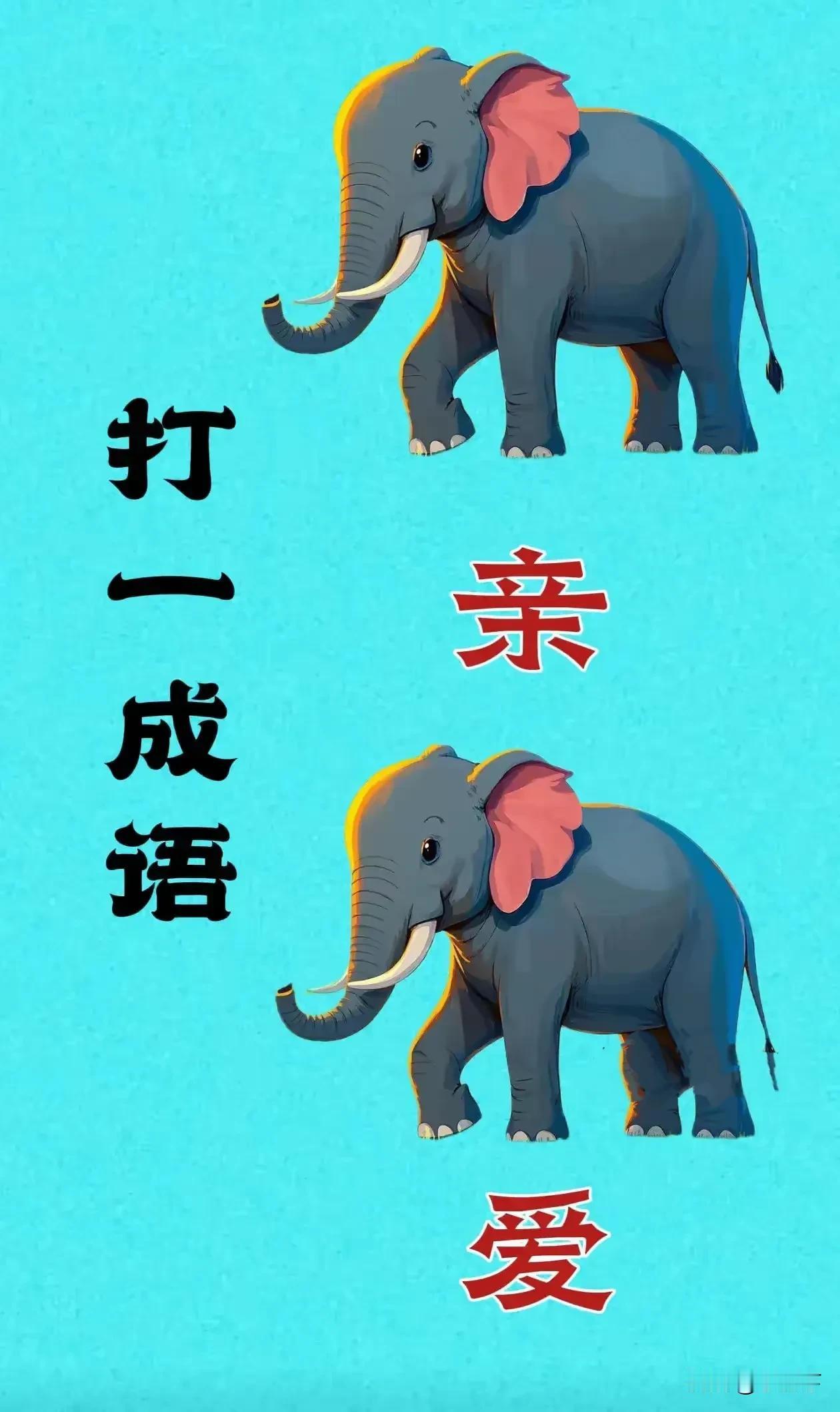 看图打一成语[舔屏]猜出来的头脑可不一般啊
图中有两只大象🐘
一个亲字，一个爱