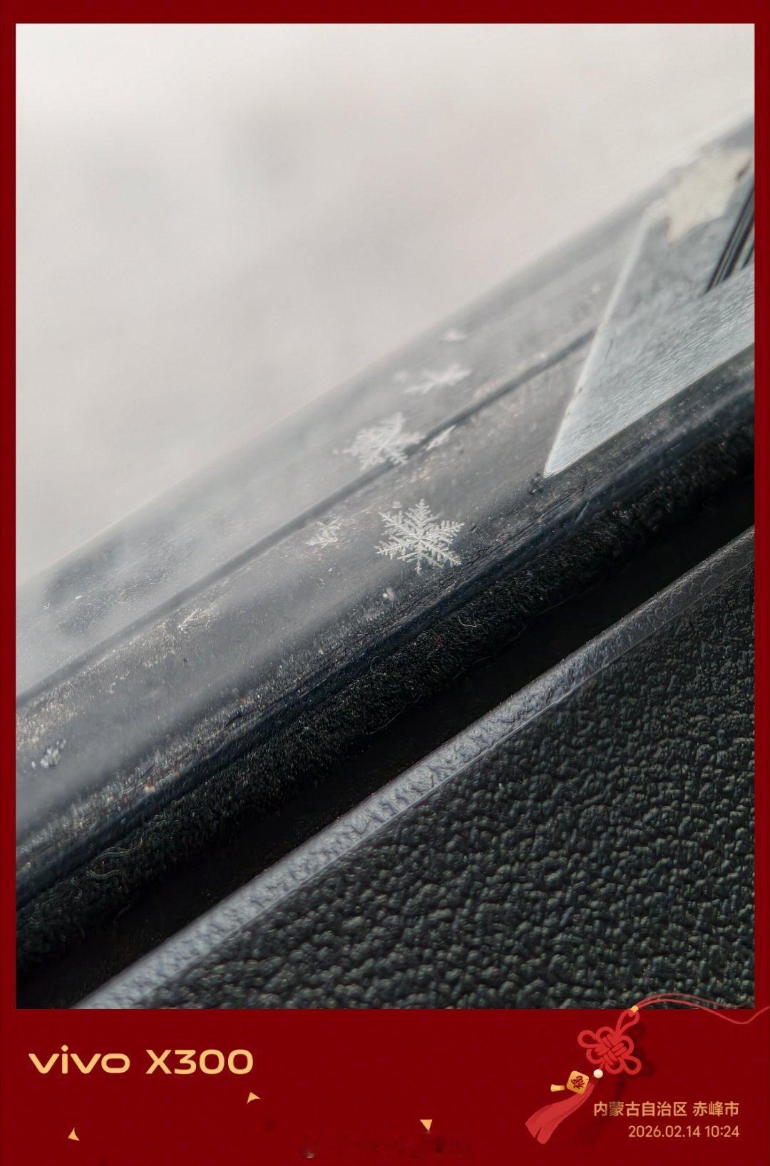 vivo X300这个微距表现真的很顶