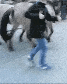 不要靠马太近，就算是马屁股也不行。
