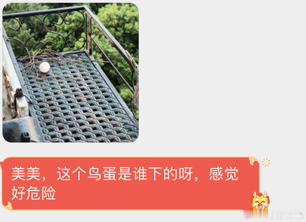 毛坯装修一看就是珠颈斑鸠的杰作[开学季] ​​​