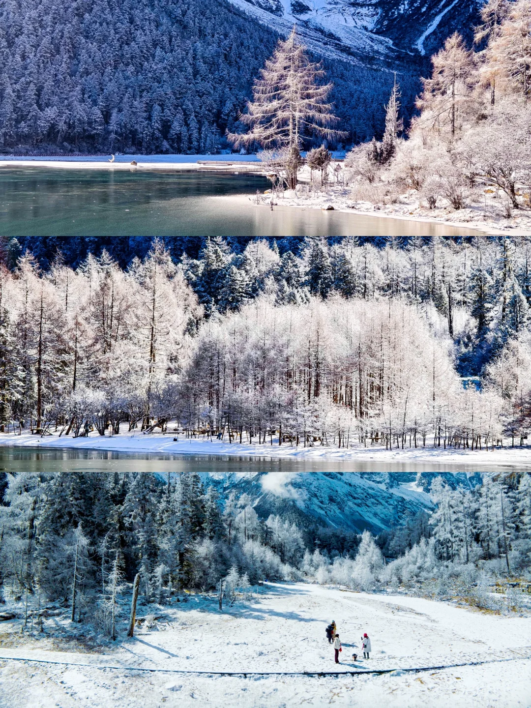 雪后的毕棚沟！真的赢麻了！！速来……