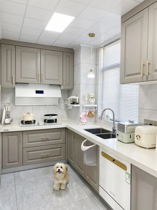 30岁，已婚有娃有狗🐶，住进了Dream House!