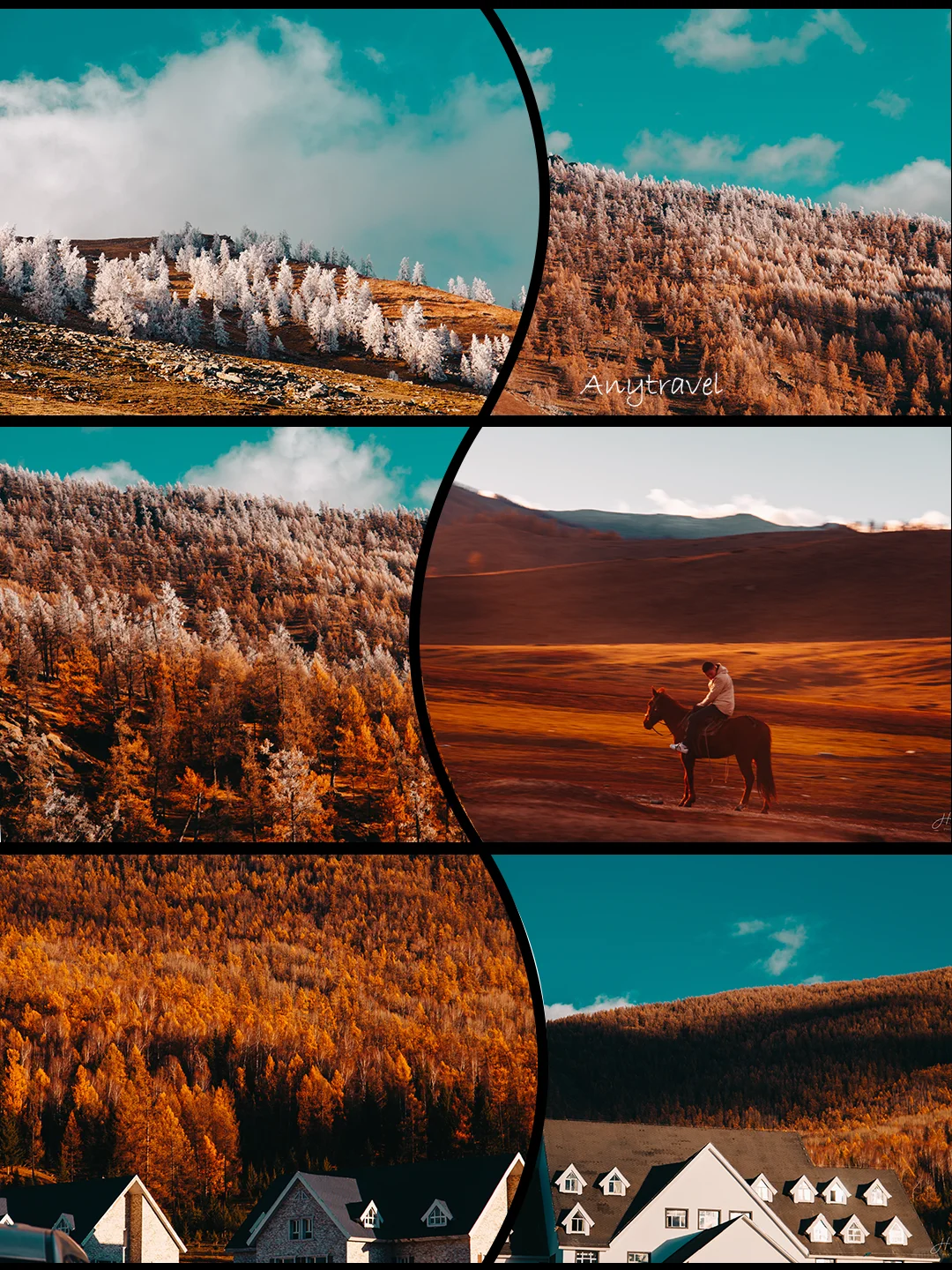 四人阿勒泰精致mini团🚩P人无脑冲的旅行团