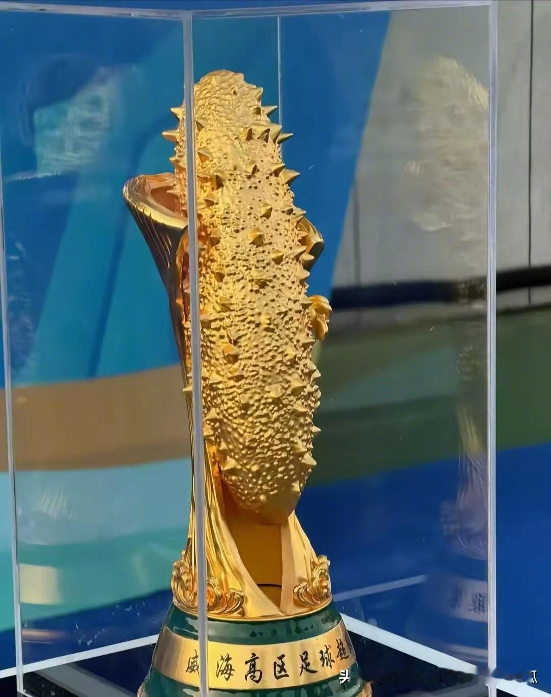 威海高区足球超级联赛的奖杯居然是个海参？
这可是把国足内涵得明明白白啊，
踢快乐