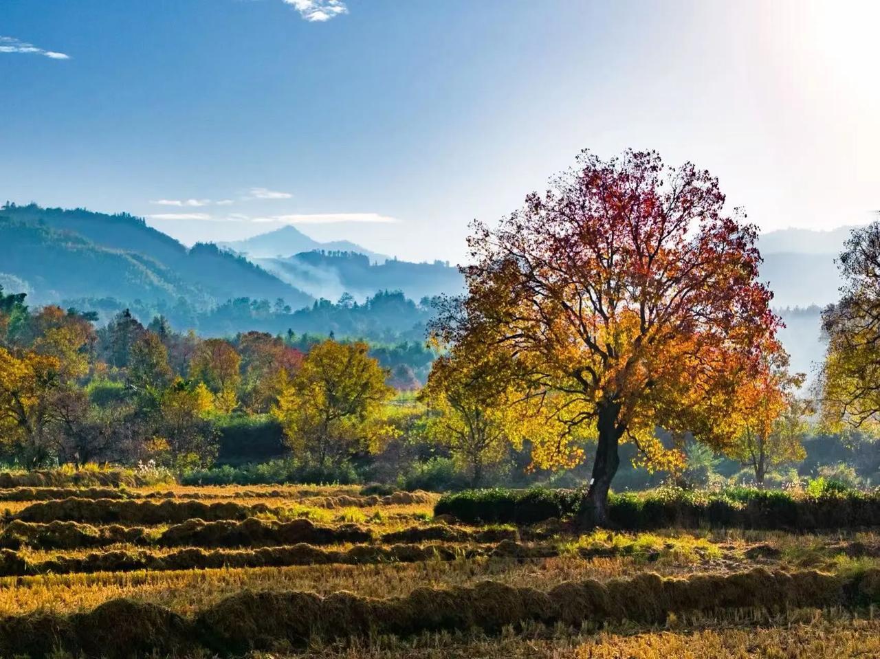 辽宁禁止老师收红包竟然都能够成为热门的新闻，也就是说在东北这个地方老师收红包应该