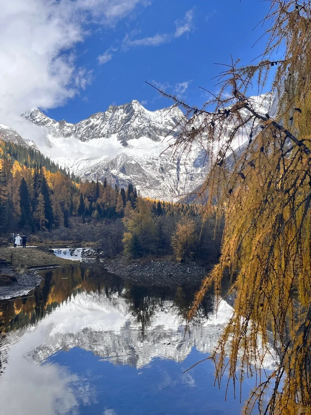 11.3📍川西四姑娘山豪赌成功！绝美