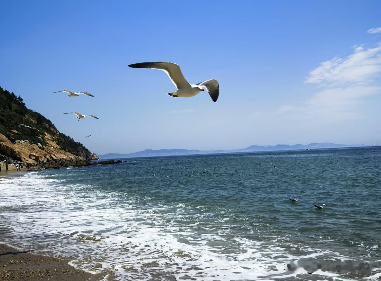 晨光初洒之时，
我走在棒槌岛海边，
碧海、蓝天、
海鸥、浪花，
两两相映不染尘杂