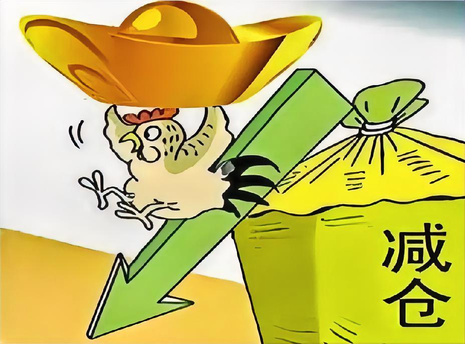科技反弹，宜逢高减仓！
受外围市场科技股大幅反弹的带动，近几日，沪深股市的科技板