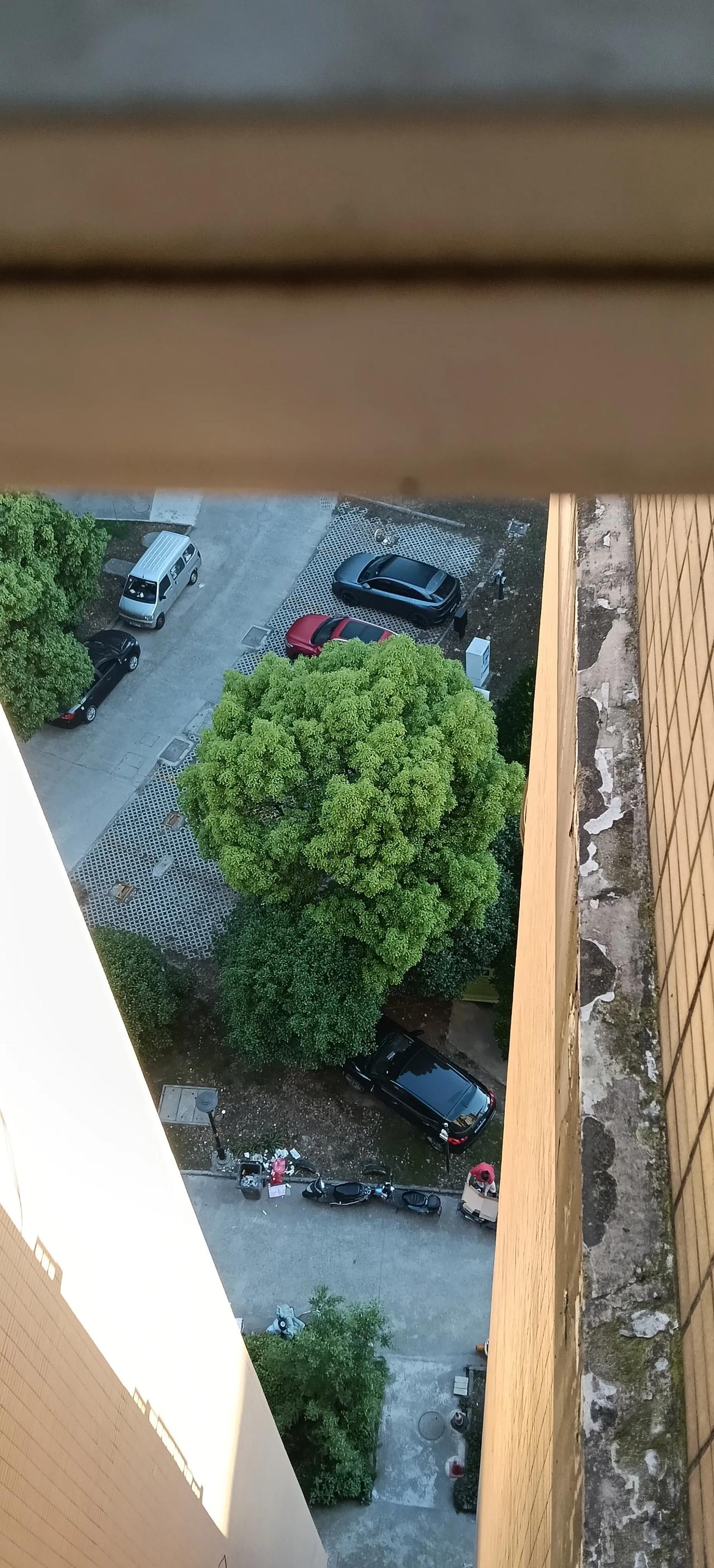 我家窗外随手一拍，现在情况