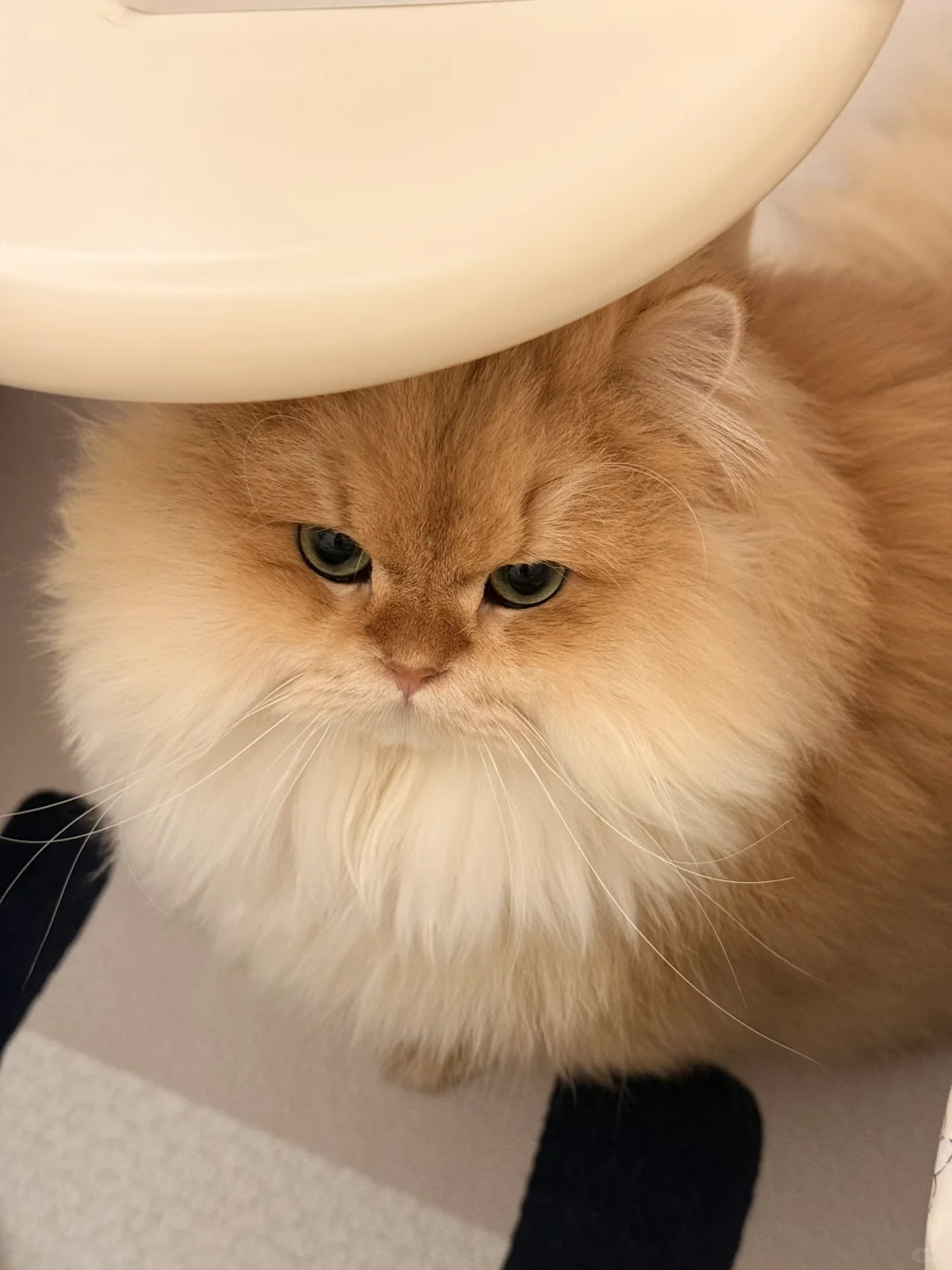 就是咬了它一口它就这样了……