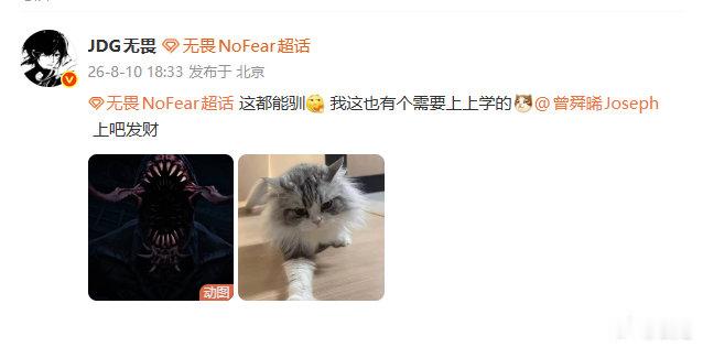 无畏向吴老狗请教驯兽秘籍怎么个事杨总，我们财财多听话呀无畏NoFear