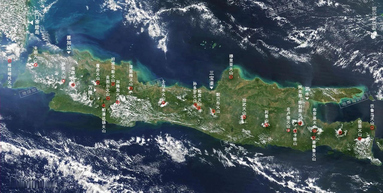 原本以为水稻一年三熟已是极限，没想到还是低估了这个世界的神奇之处。

在大多数人