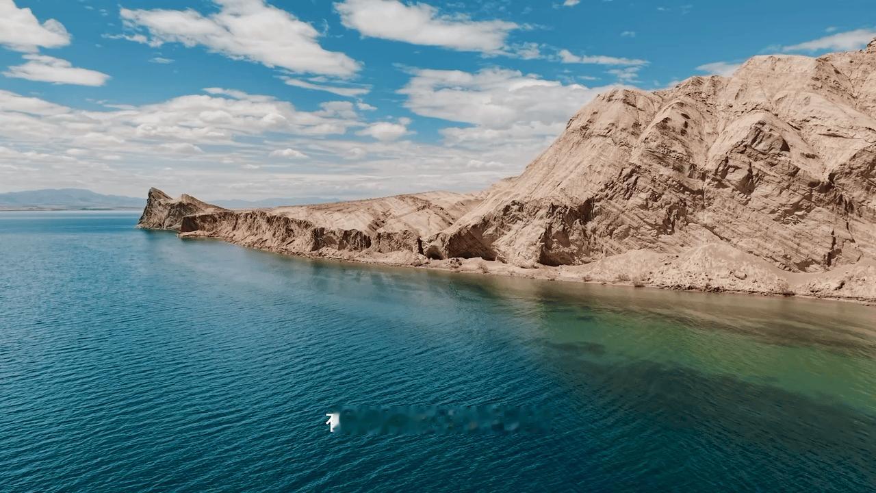终于有国产剧拍了高原反盗猎了国产剧这波太敢了！《生命树》撕开盗猎链条的残酷，杨紫