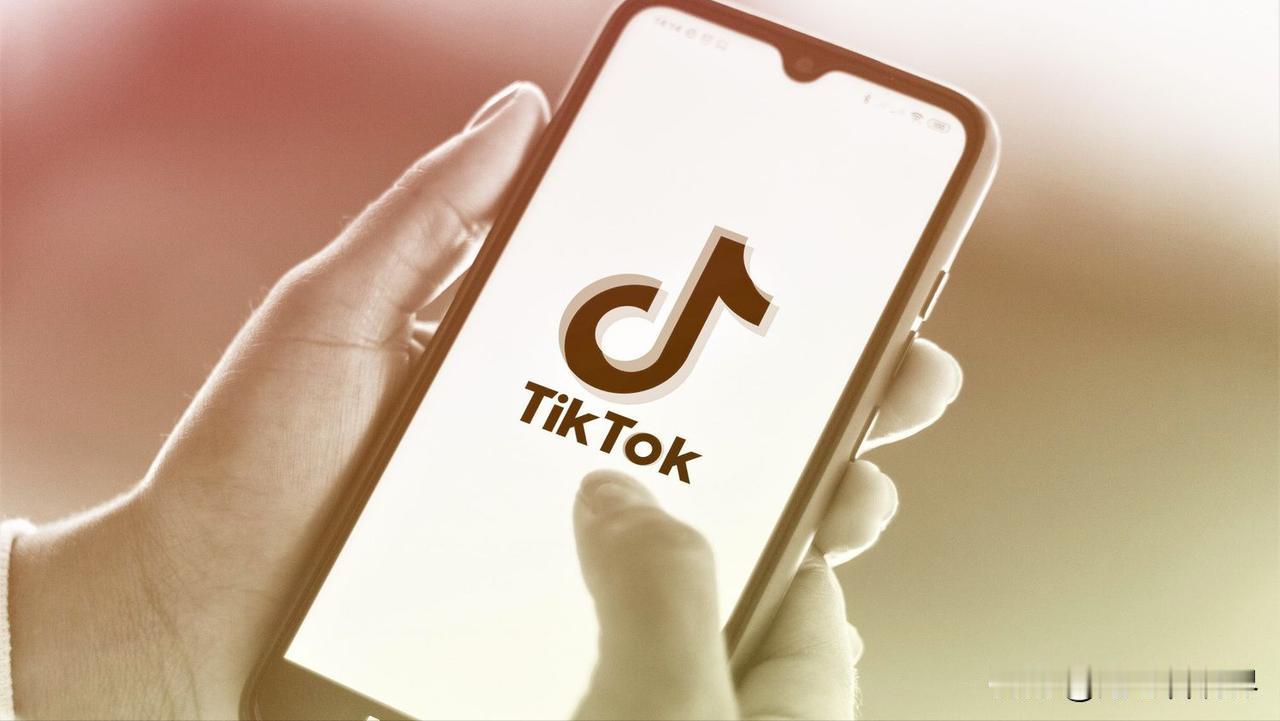 这个话题挺有意思的。中国从来都没把谷歌、Facebook、Telegram、Ti