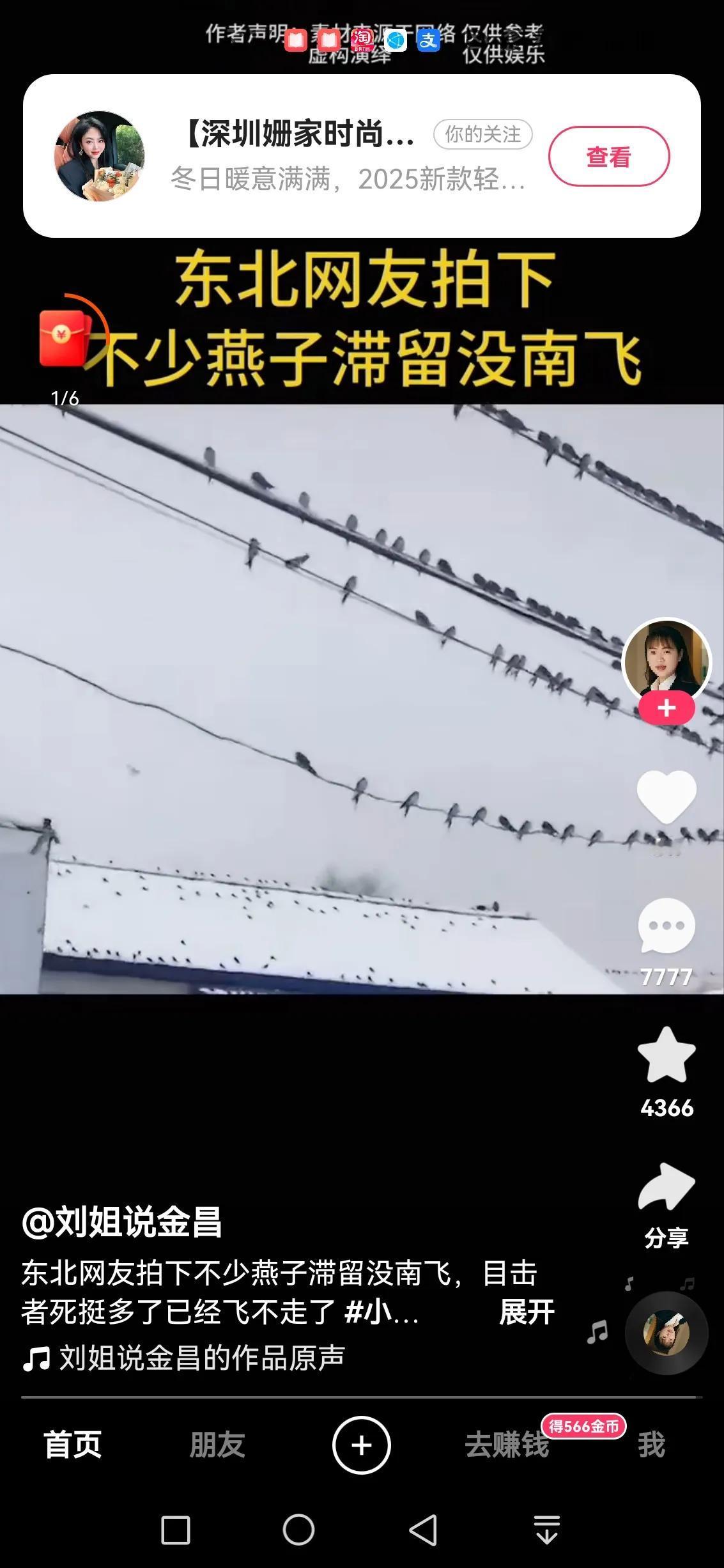 今年真的太冷了
而且冷天气提前到来
今年闰月
以为会晚一点冷
结果一点没耽误
好