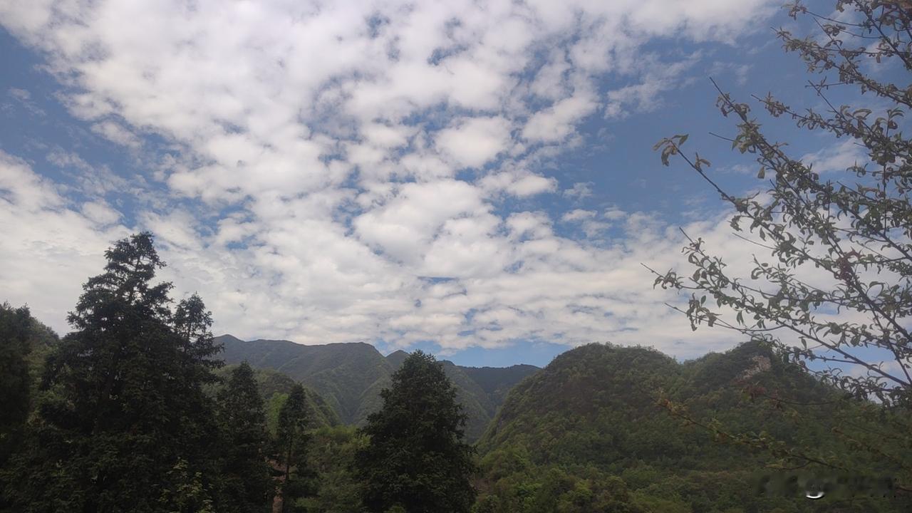 女人这辈子，
最稳的靠山，从来不是别人。
千万别天真地以为，
女人嫁对人，就能一