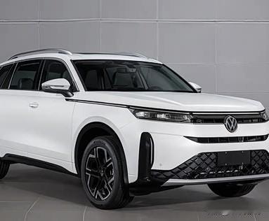 全新的揽巡终于来了！24.69万起，德系大五座SUV，家用太合适 。
 
车身超