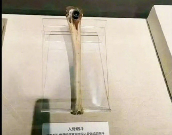 什么叫血海深仇？  这就是！日本人曾用小孩的腿骨做烟斗，铭记历史！我们没资格替先