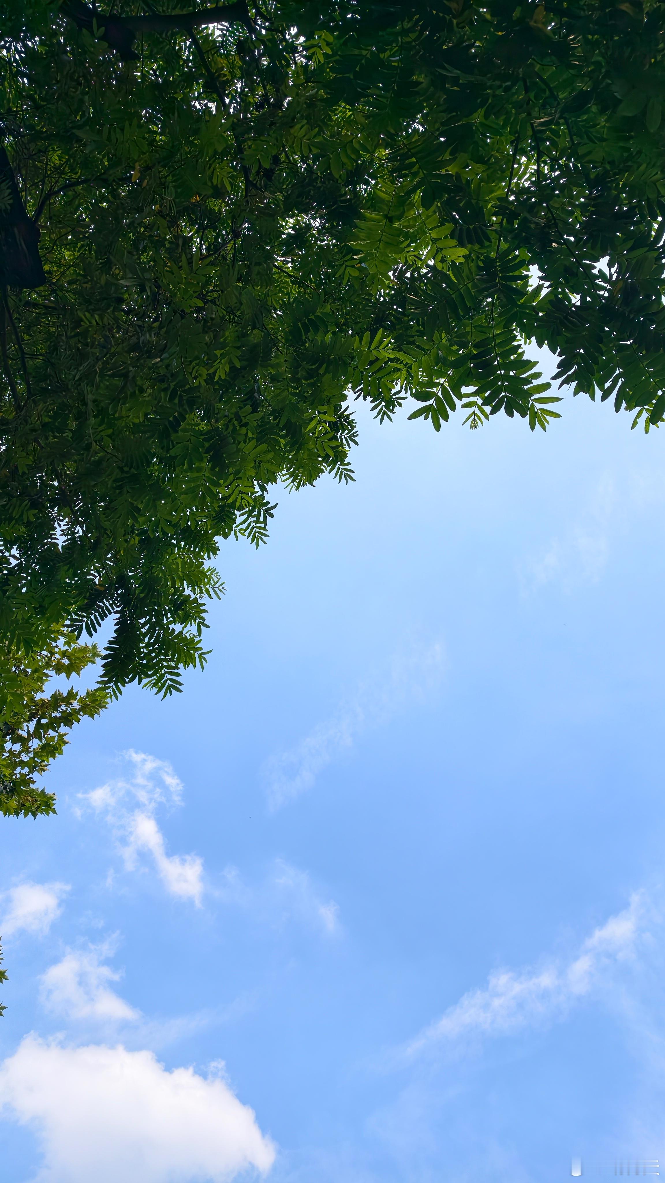 有些门不好进，但天空可以随便看天空 ​​​