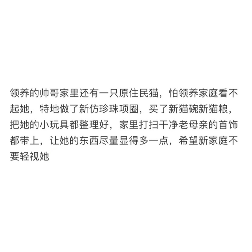 送养小猫时突然理解了嫁妆的意义[苦涩] ​​​