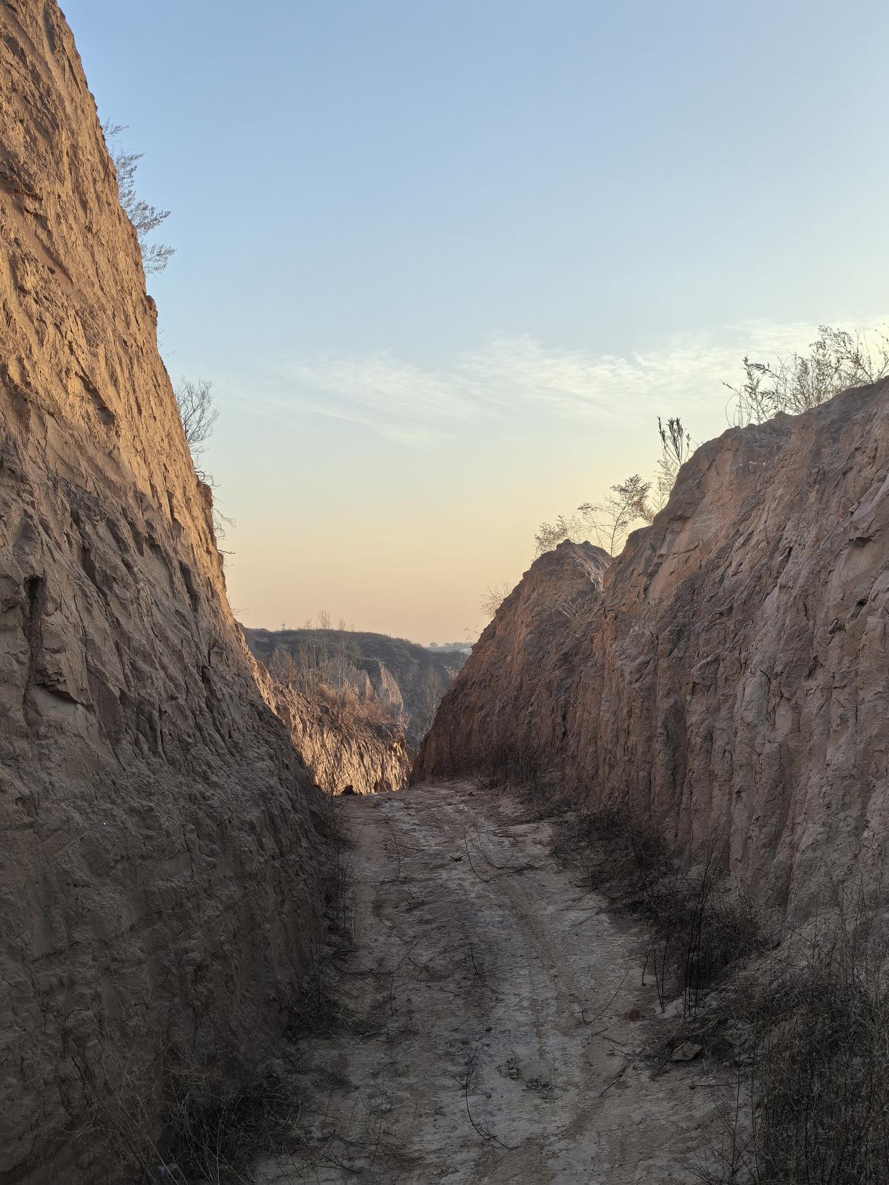 分享一张最近随手拍的照片