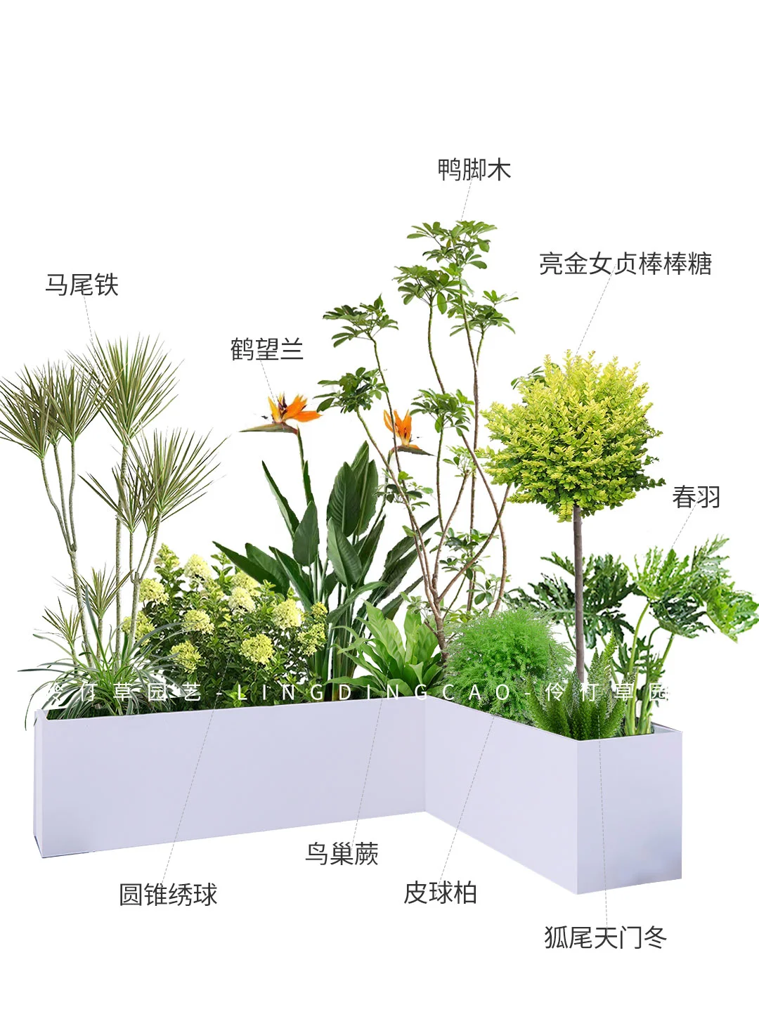 真的有会被这两组秋季花箱给惊艳到了！！