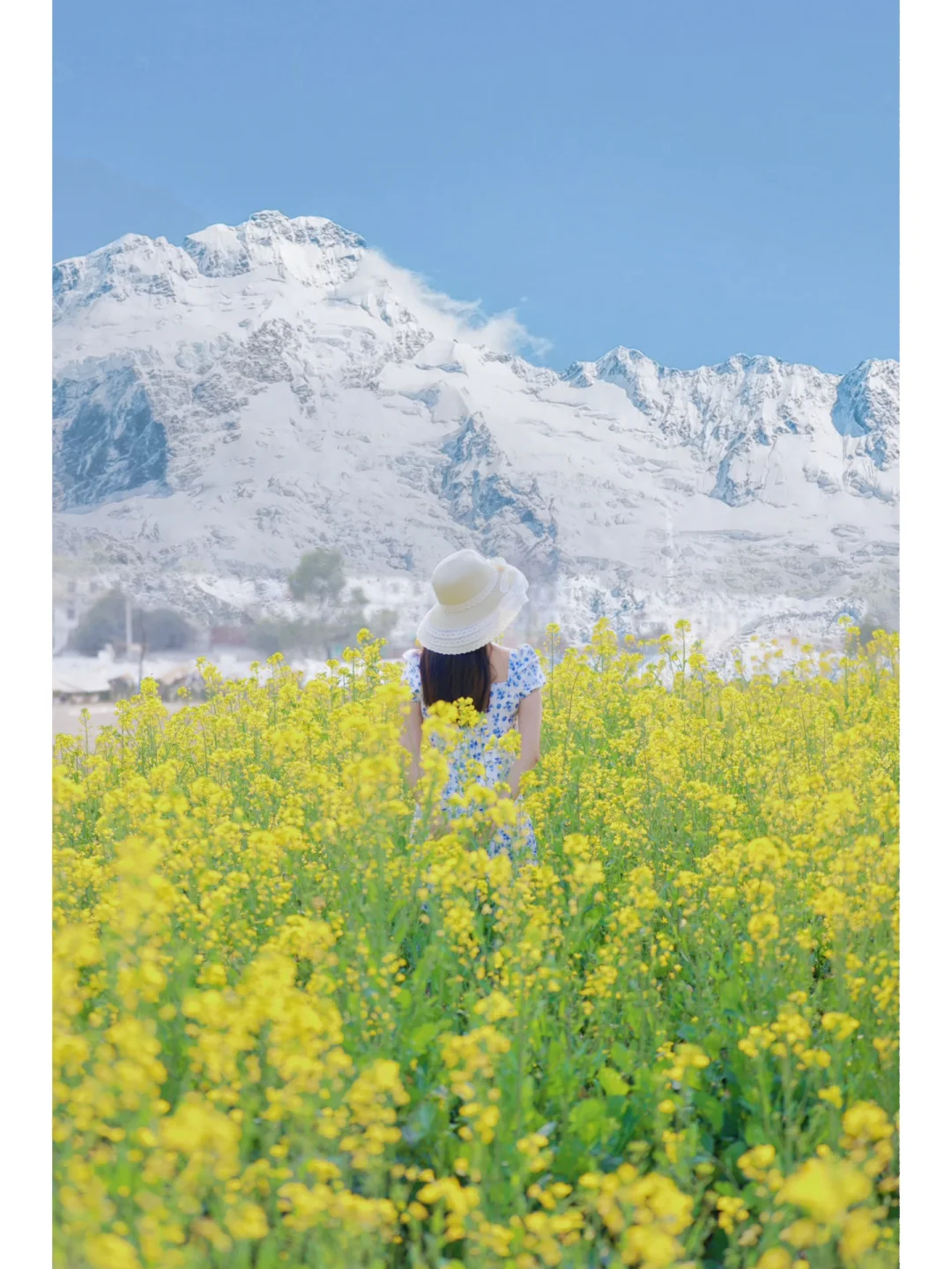 杭州油菜花开了🌼这就是我梦里的场景啊