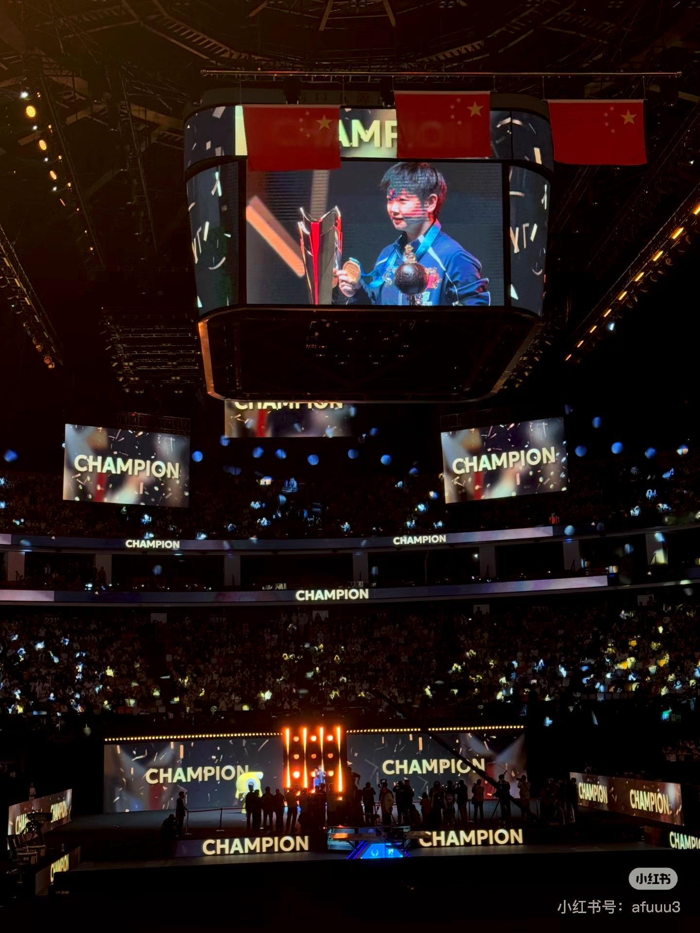 在🍠刷到一张绝美的图孙颖莎冠军