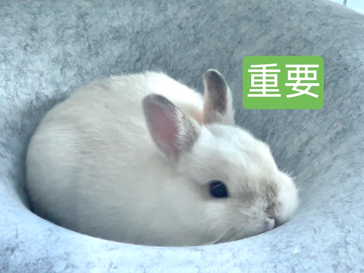 来多点人咔，看编辑记录保存图片到🫘扫理由：网bao，详见评论区做完615扩散贺
