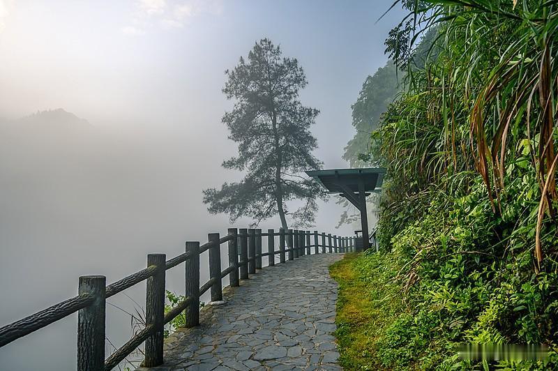 从容

晨起沐清风，岁岁皆从容。
晓光铺野径，薄雾隐云峰。
心宽离俗扰，意静万事
