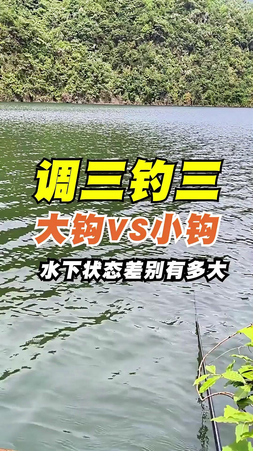 调三钓三，大鱼钩与小鱼钩，水下状态差别。🎣调三钓三，大鱼钩与小鱼钩的...