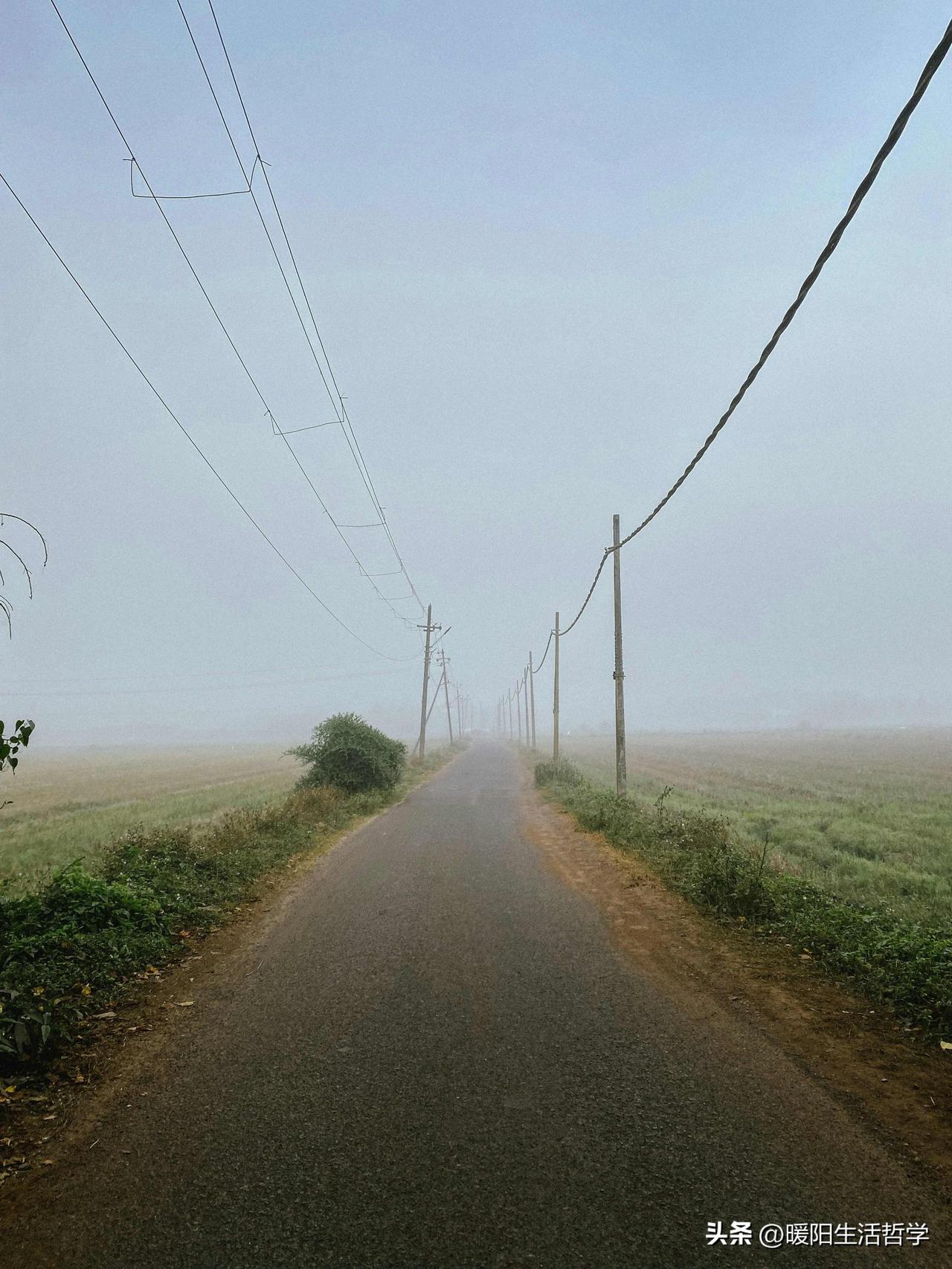 刚刚刷到杨天真说自己是“放弃型人格”，忽然想起前两天还在某处看到“生活要敢于挑战