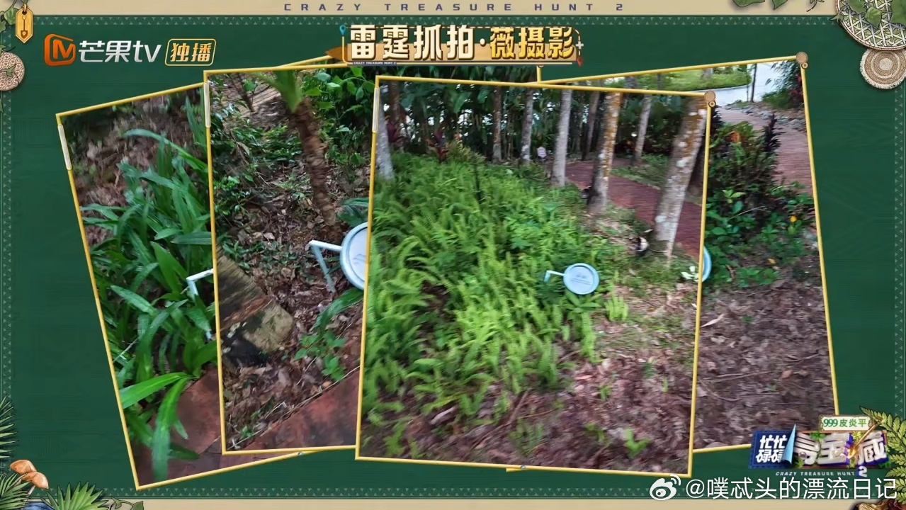 谁来管管田曦薇的拍照技术就算拍照总是拍不好也很可爱，独一无二的糊涂小摄影师 