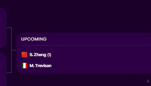 应该不会翻车吧的帅姐 现在最喜欢打这种上旋女中国网球