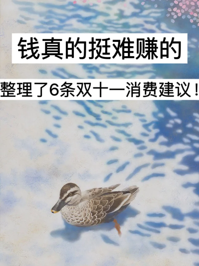 钱真的挺难赚的，整理了6条双十一消费建议！