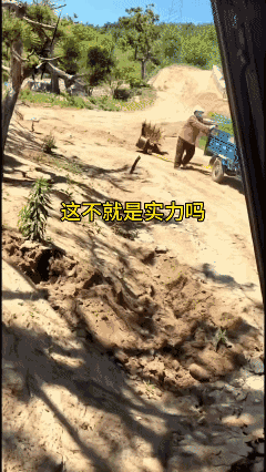 大娘，看来我是低估了你的倔强啦……[泣不成声]