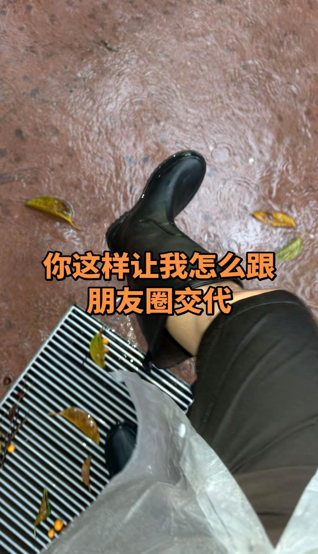 广州长隆野生动物园 又双叒叕是下雨天 长隆