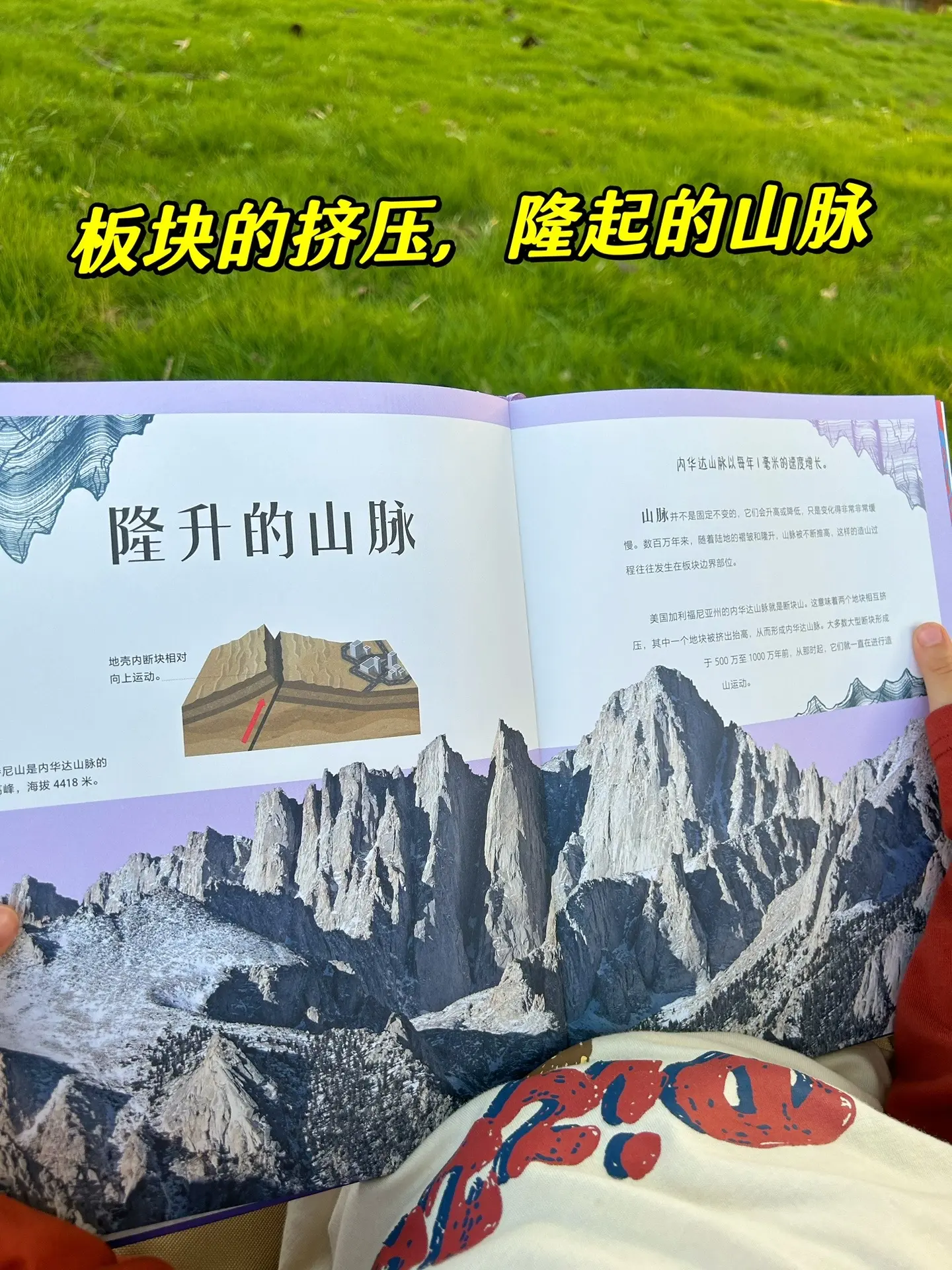 DK典藏好书，会满足所有孩子的期待‼️。从地球表面的火山🌋，到海洋里...
