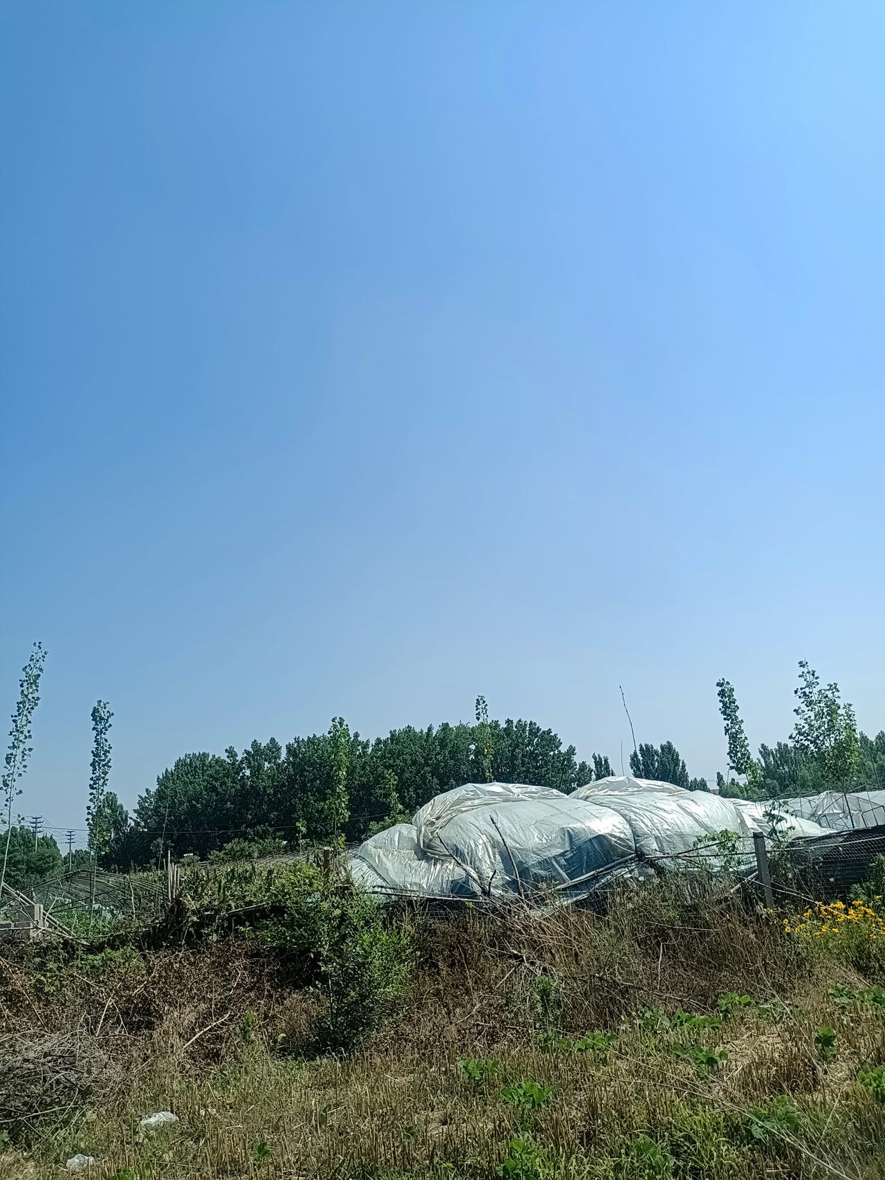 让人豁然开朗的话：
“靠付出换来的关系，你就得一直付出；靠讨好换来的关系，你就得