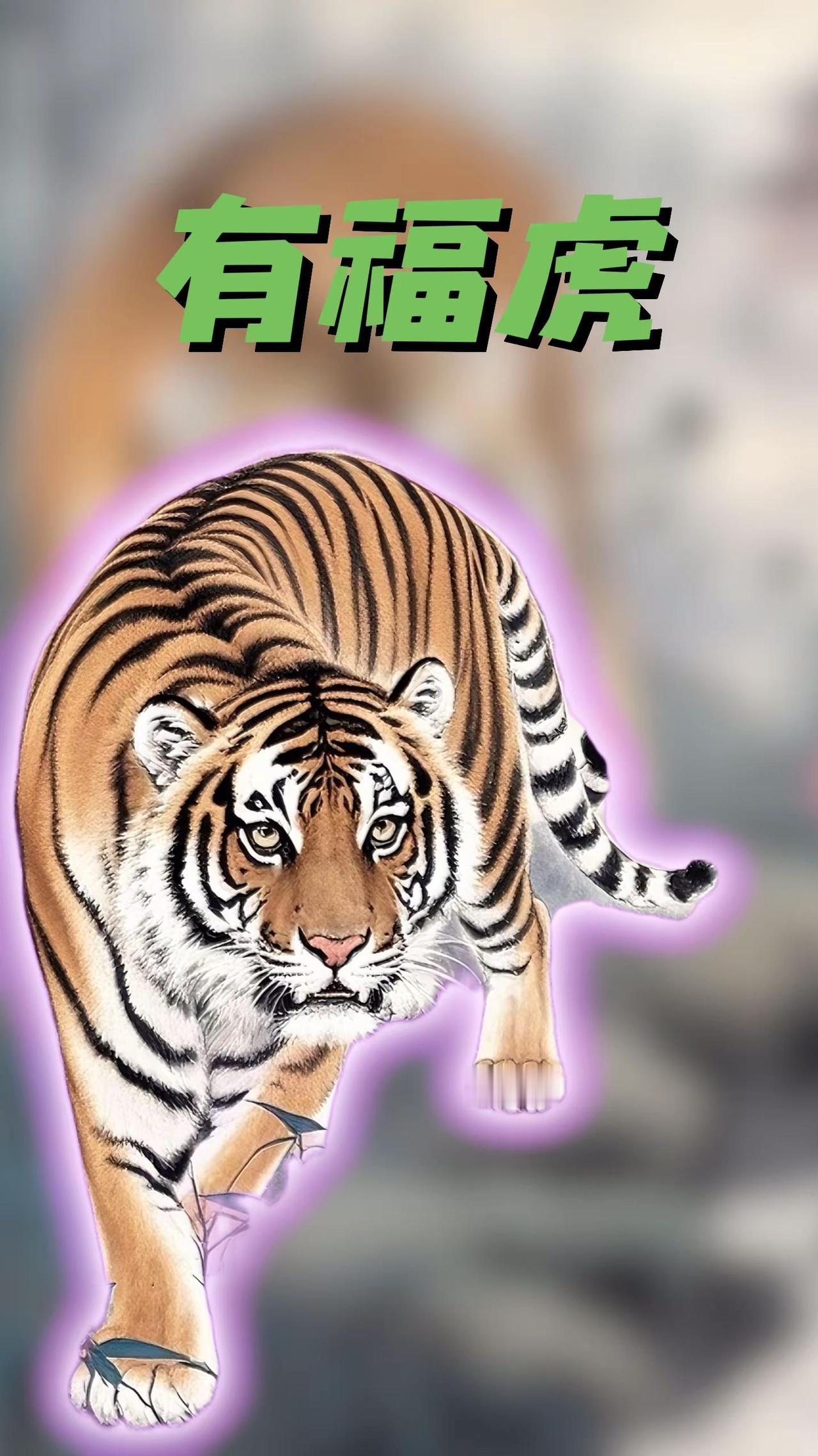 62年的虎 74年的虎 86年的虎