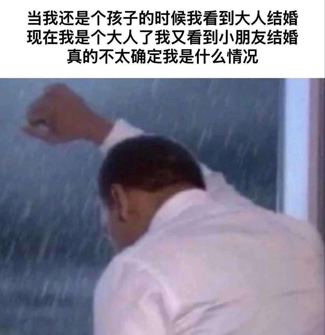 小时候看大人结婚，长大了看小孩结婚：
梗图 meme memes 结婚 搞笑 沙
