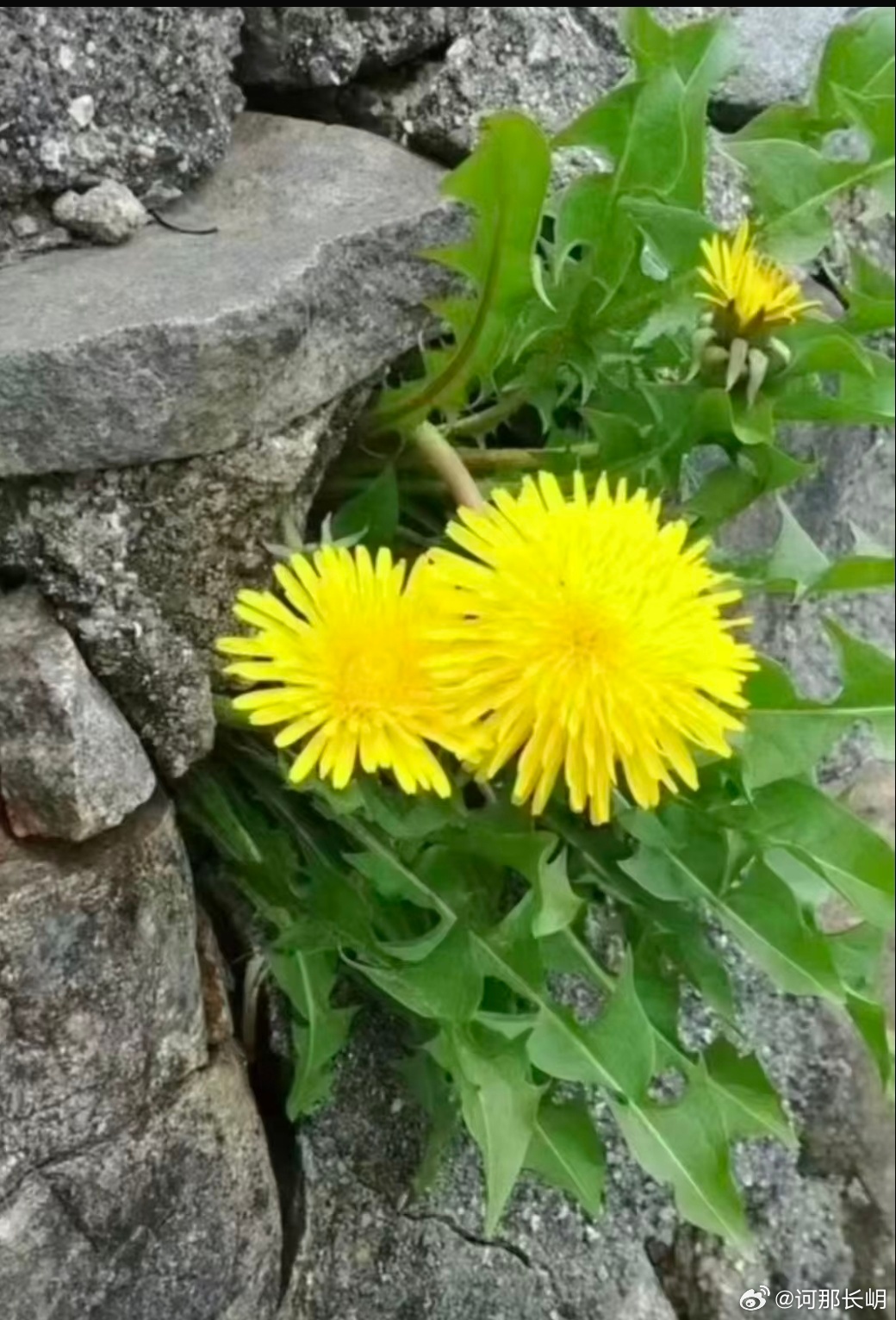 吸引力法则，凡事别急，上天自有安排，2026年，只走两条路：要么干，要么学，我们