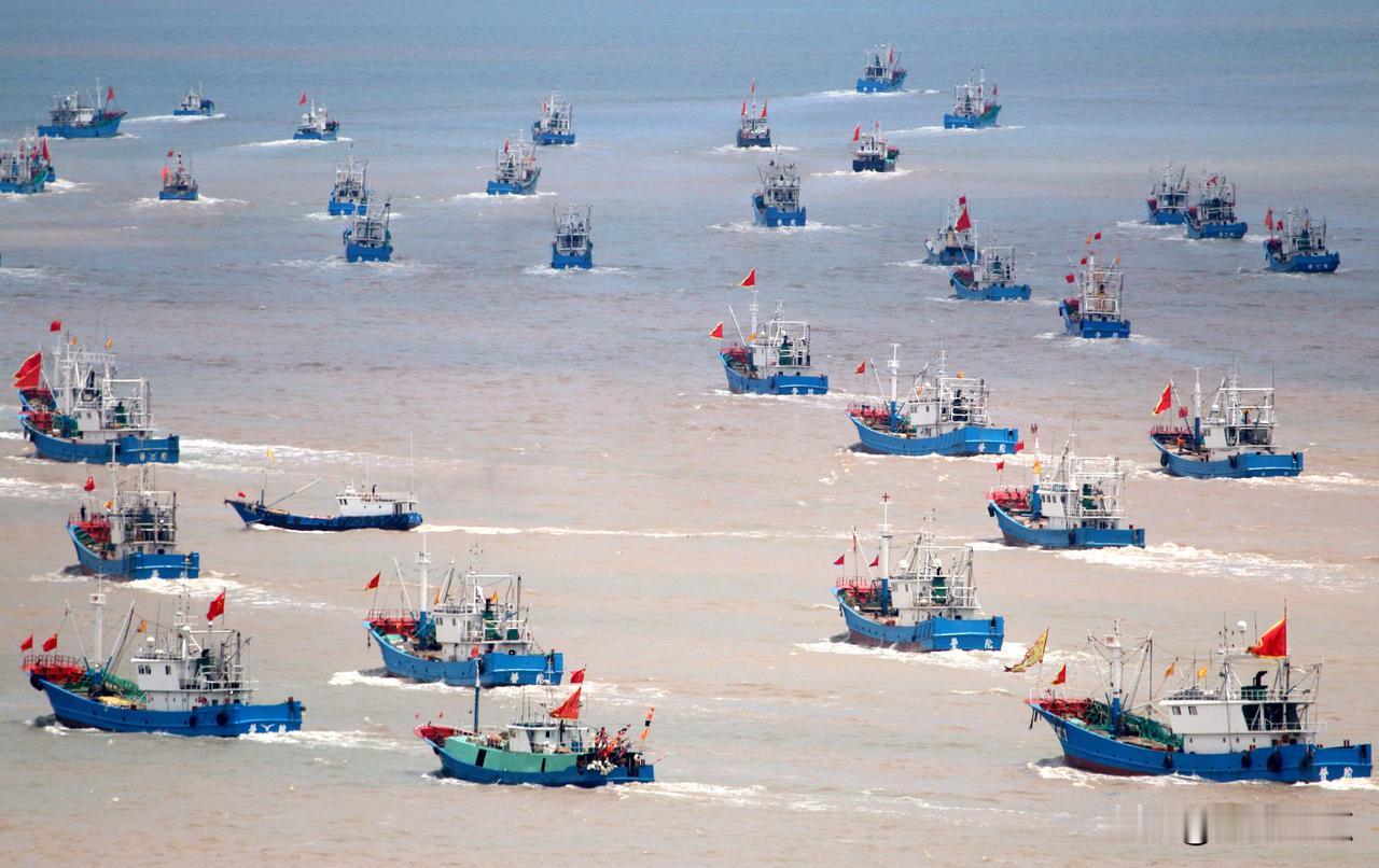 千艘渔船集结东海，是捕鱼还是演习？背后真相让人深思。
最近网上都在传中国东海有上