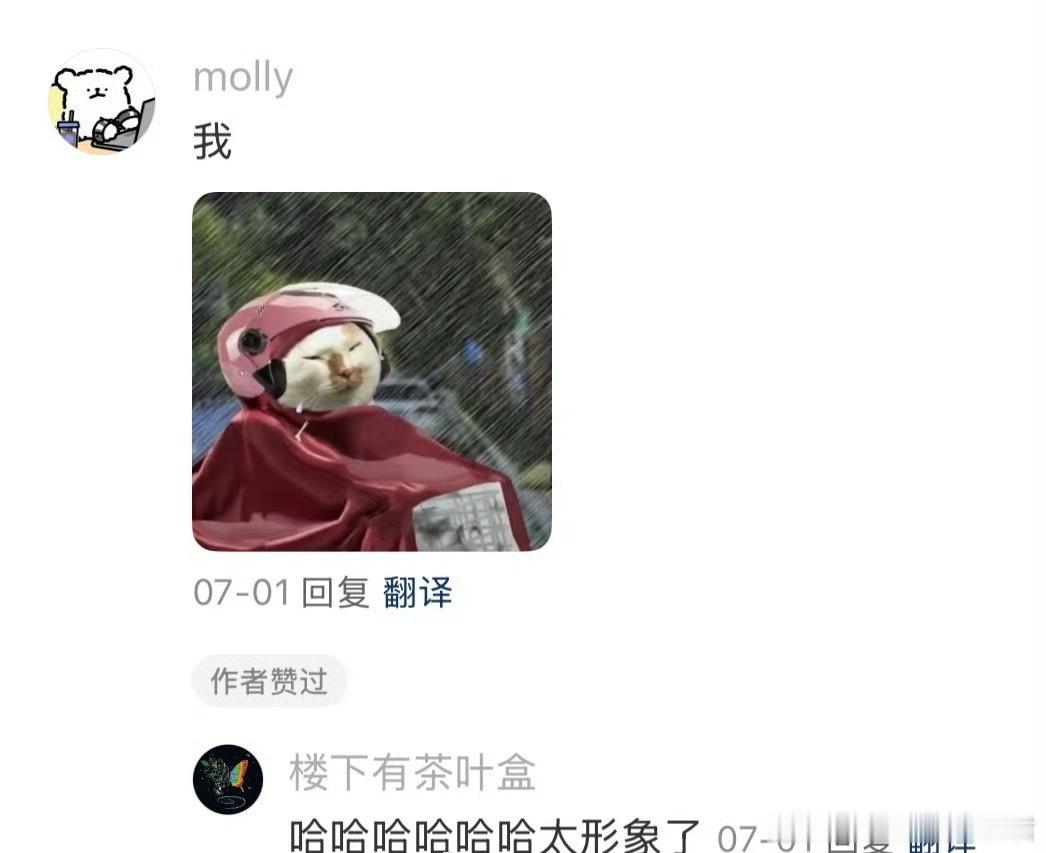 像极了这个月每天去上班的广东打工人广东暴雨还要下多久啊 ​​​