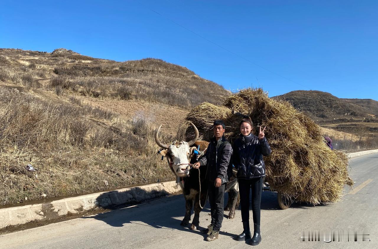 甘肃的乡间小道上，随处可见的牛羊群，且四面环山⛰️太有感觉了[小鼓掌][小鼓掌]