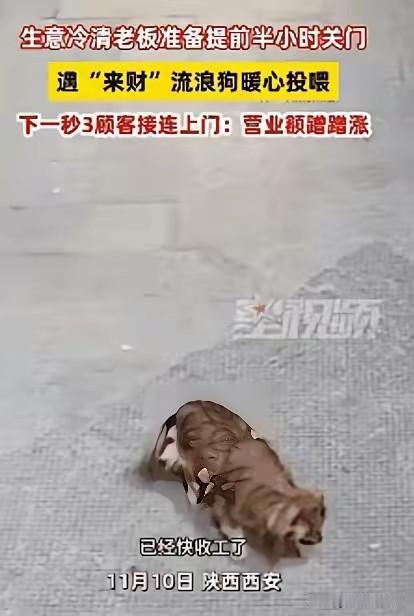 科学也解释不清了！近日陕西西安，一老板看没有生意，就打算提前关门，关门时发现门口