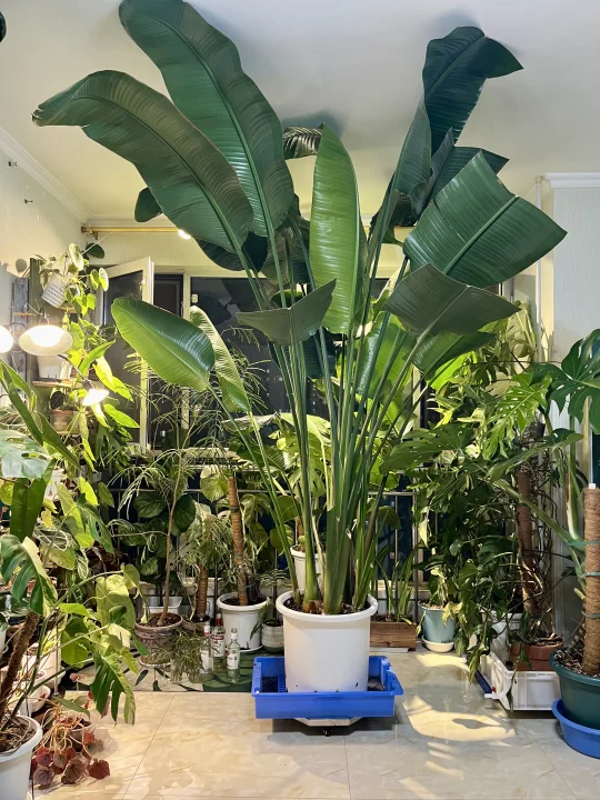 最近半年受委屈了