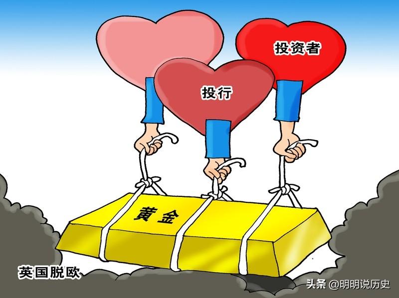 选择黄金基金和黄金股票可以分别参考以下要点：

黄金基金选择要点

● 投资策略