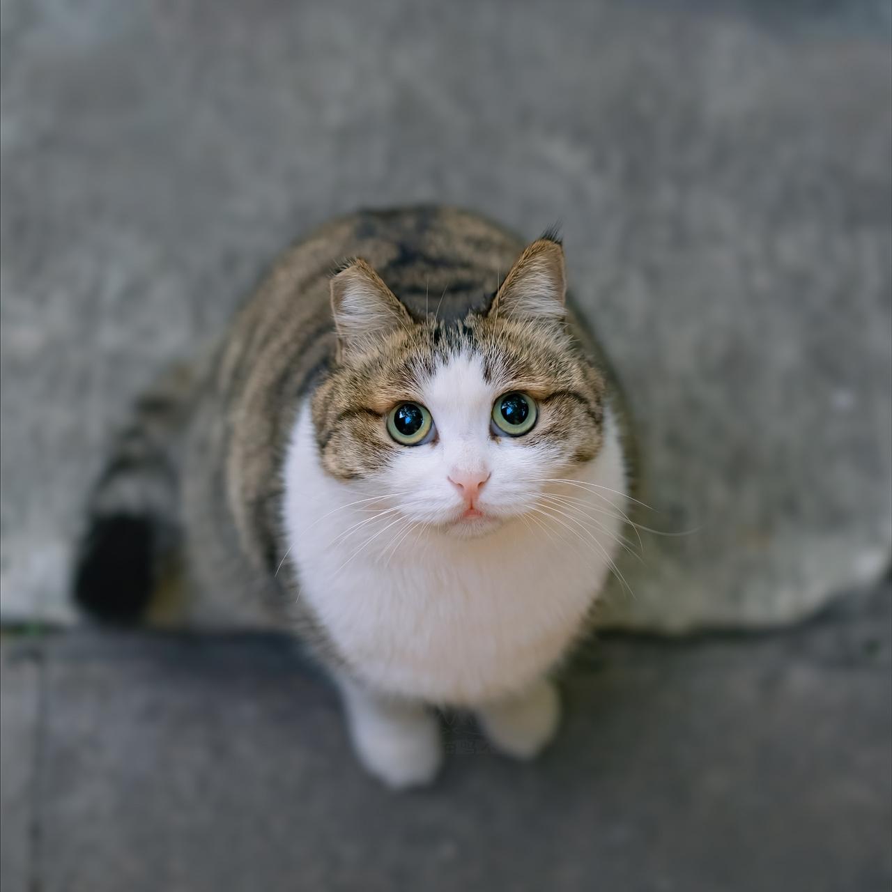 重男轻女不好，但是重女轻男也不好啊
我那同事，就是昨天在办公室骂孩子那位（具体可