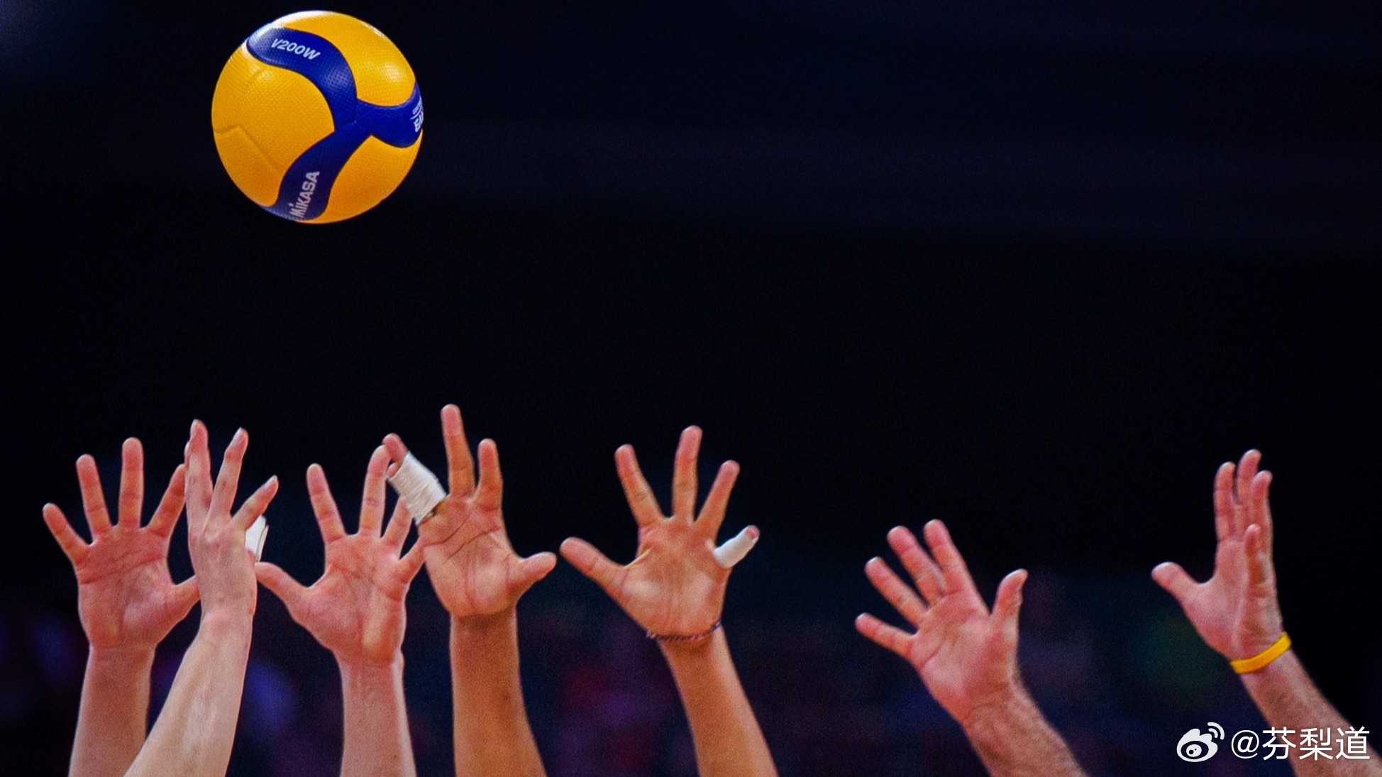 国际排坛动态中国女排国际排联（FIVB）公布了将在 2026年国家排球联赛（VN